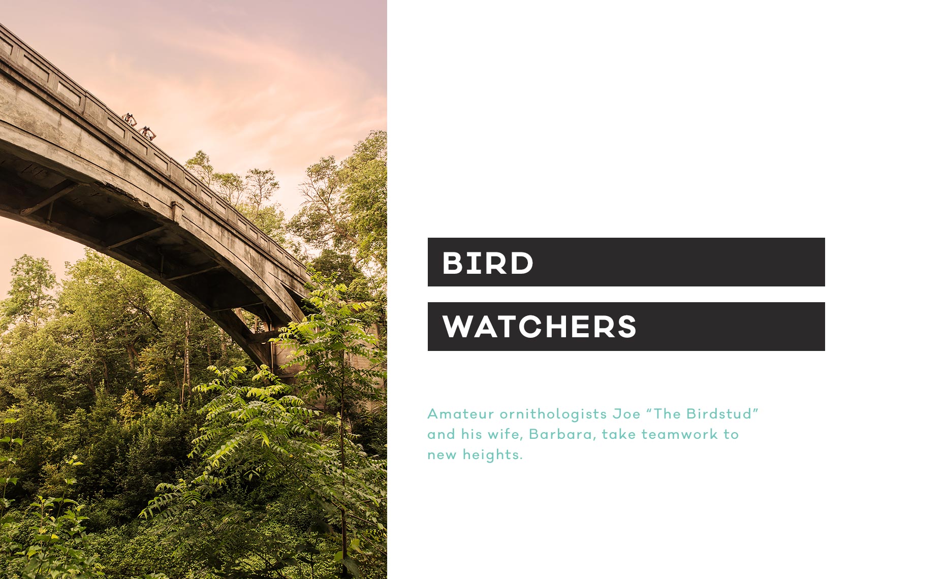 01_arm_bird_watchers_v2