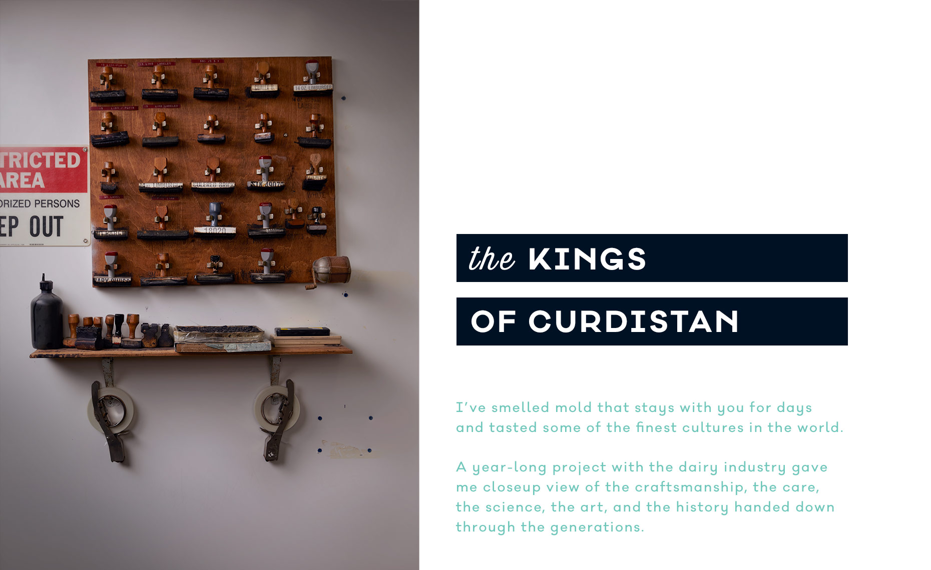 01_arm_curdistan